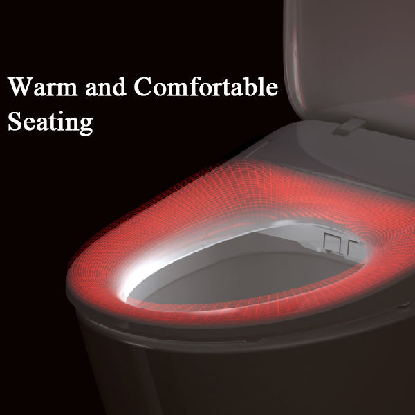 Bidet Seat